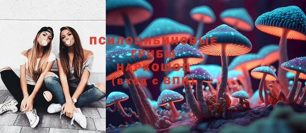 тгк Аркадак
